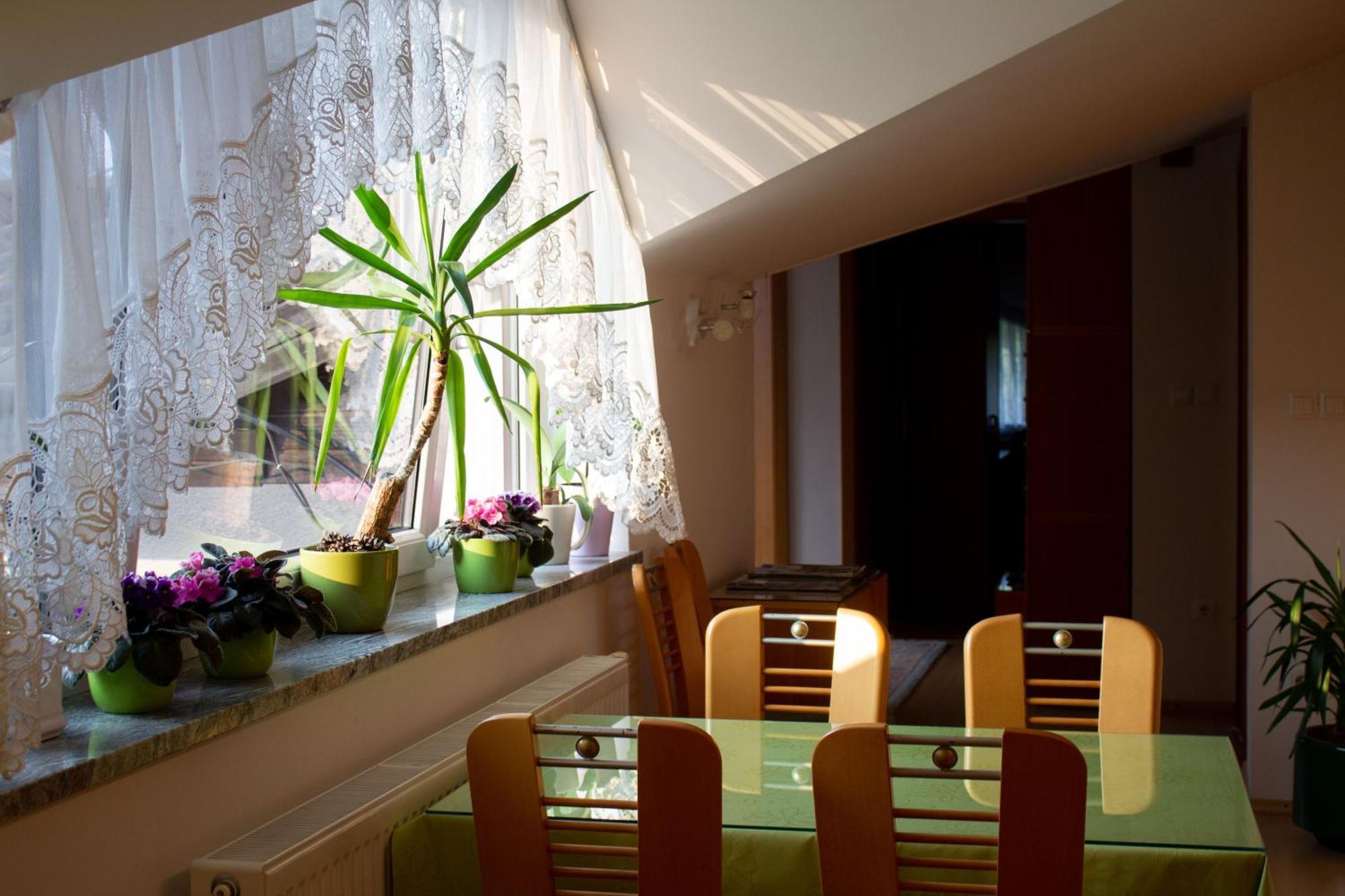 Garden Apartments Jansa رادوفيتْسا الغرفة الصورة